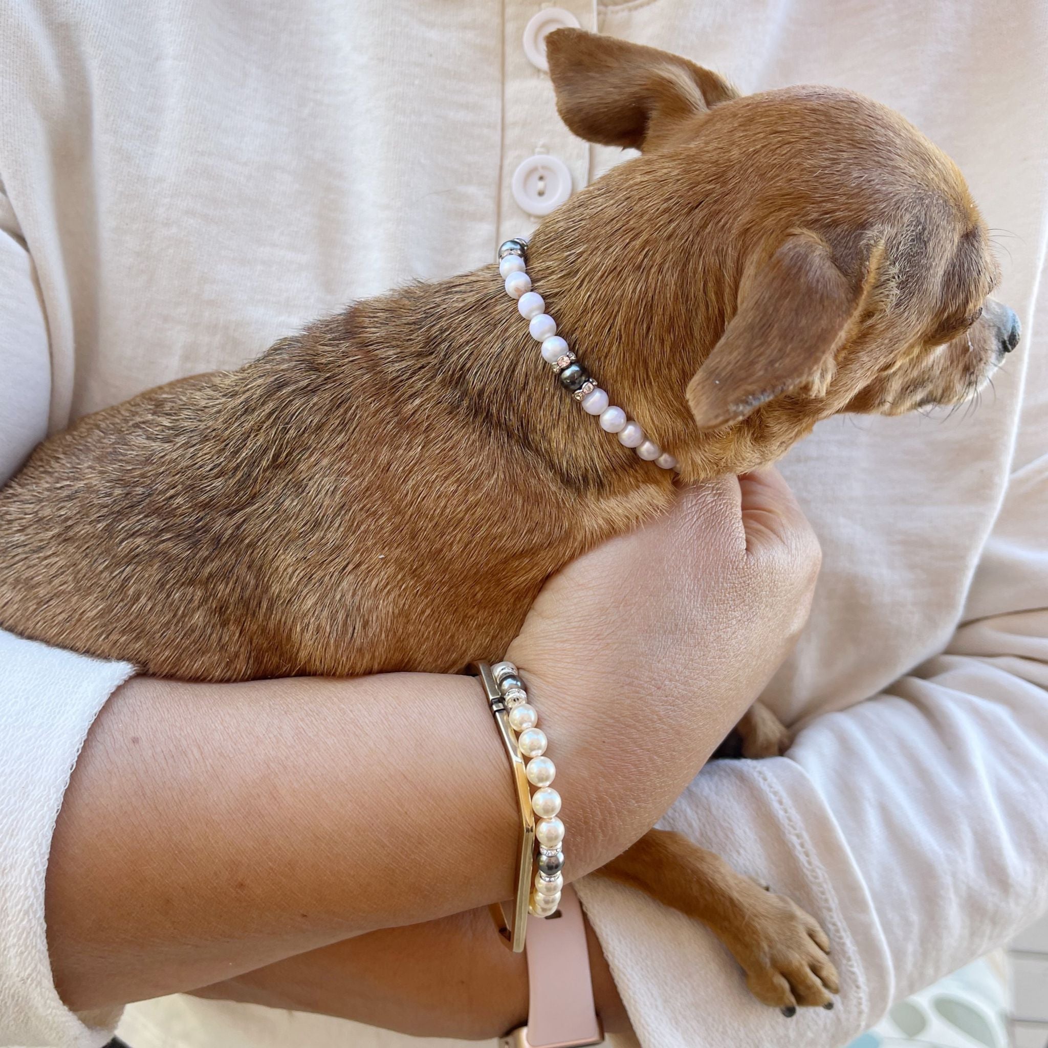 Dog Necklace Pet Cuban Chain Alloy Big Golden Chain Punk Style Dog Necklace  Adjustable Dog Collar Pet Jewelry - Pet Supplies - Temu
